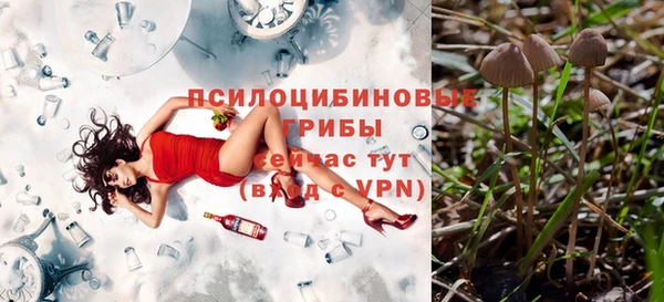 прущая мука Ахтубинск