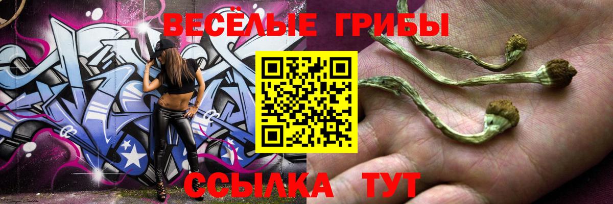 Псилоцибиновые грибы GOLDEN TEACHER  Галлюциногенные грибы GOLDEN TEACHER  Моздок  Вход с VPN 