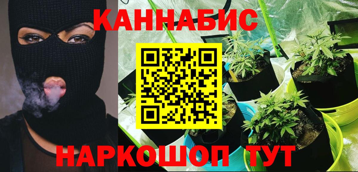 Моздок  Каннабис Ganja  Конопля LSD WEED  Марихуана сатива  Вход с VPN  Бошки Шишки марихуана 